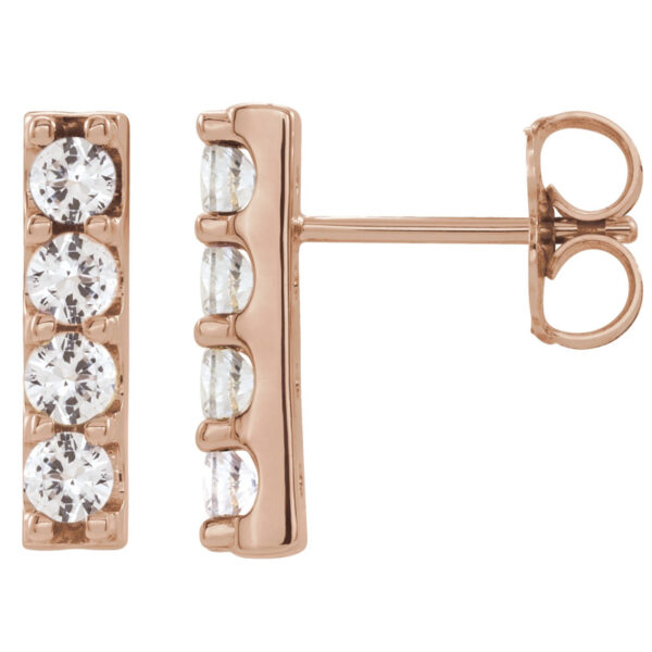 Accented Bar Earrings