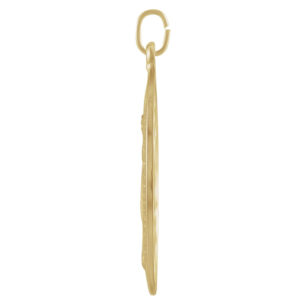 Miraculous Necklace or Medal