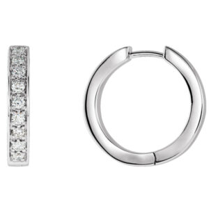 Inside-Outside Hinged Hoop Earrings