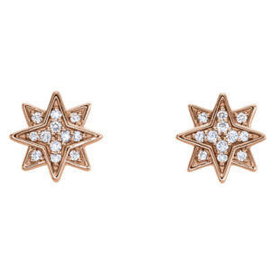 Star Earrings