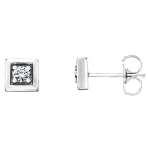 Accented Earrings