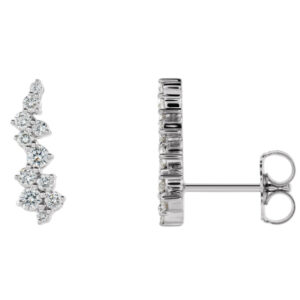 Accented Ear Climbers