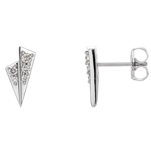 Accented Geometric Earrings