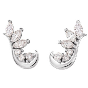 Accented Ear Climbers