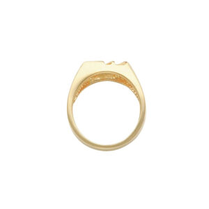Accented Onyx Men’s Ring