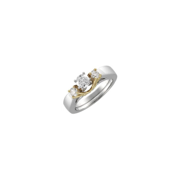 Ring Enhancer
