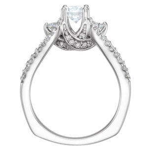 Three-Stone Engagement Ring or Band