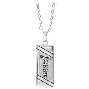 Forever Companion Ash Holder Necklace